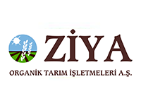 Ziya