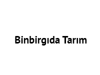 Binbir
