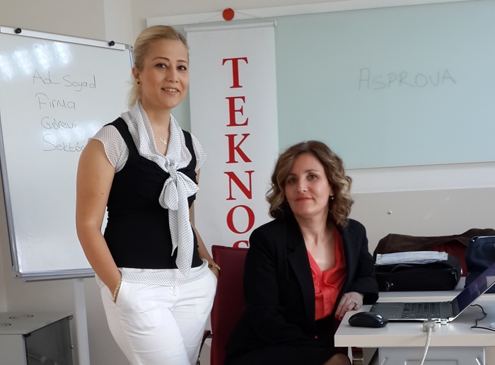 ERP APS Danışman Yalın Üretim