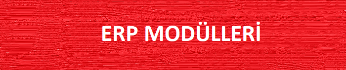 erp modülleri erp modülleri